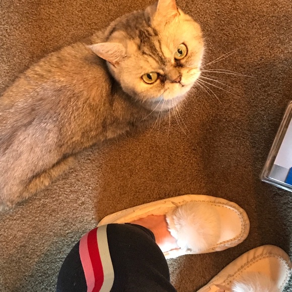 Meet your Posher, Kristen - Picture 2 of 4